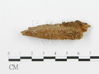 登錄號:F0016793藏品圖，第5張