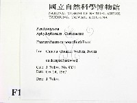 登錄號:F0016795藏品圖，第2張