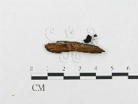 登錄號:F0016799藏品圖，第3張