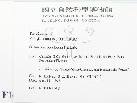 登錄號:F0016800藏品圖，第2張