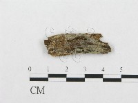 登錄號:F0016800藏品圖，第1張