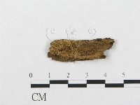 登錄號:F0016800藏品圖，第3張