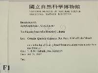 登錄號:F0016801藏品圖，第2張