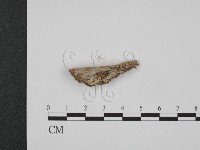 登錄號:F0016801藏品圖，第1張