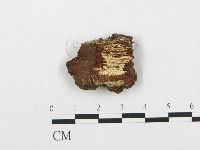 登錄號:F0016802藏品圖，第1張