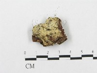 登錄號:F0016802藏品圖，第3張