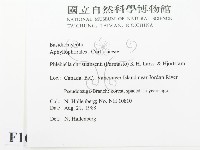 登錄號:F0016803藏品圖，第2張
