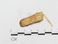 登錄號:F0016803藏品圖，第3張