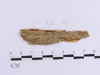 登錄號:F0016804藏品圖，第1張