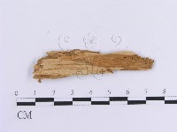 登錄號:F0016804藏品圖，第3張