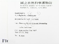 登錄號:F0016806藏品圖，第2張