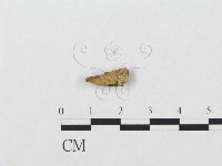 登錄號:F0016806藏品圖，第1張