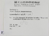 登錄號:F0016807藏品圖，第2張