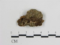 登錄號:F0016808藏品圖，第1張
