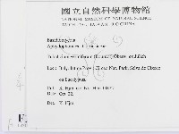 登錄號:F0016809藏品圖，第2張