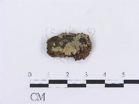 登錄號:F0016809藏品圖，第1張
