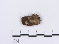 登錄號:F0016809藏品圖，第3張