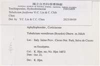 登錄號:F0016809藏品圖，第4張