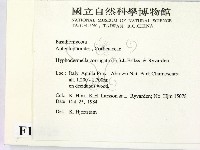登錄號:F0016810藏品圖，第2張