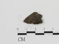 登錄號:F0016814藏品圖，第1張