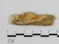 登錄號:F0016815藏品圖，第1張