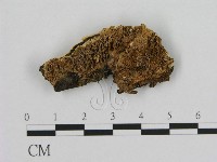 登錄號:F0016816藏品圖，第1張