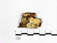 登錄號:F0016817藏品圖，第1張