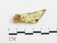 登錄號:F0016818藏品圖，第1張