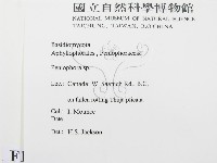 筍殼菌屬藏品圖，第2張
