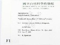 登錄號:F0016820藏品圖，第2張