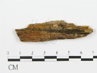 登錄號:F0016820藏品圖，第1張