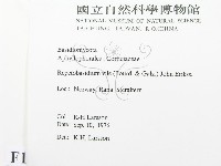 登錄號:F0016821藏品圖，第2張