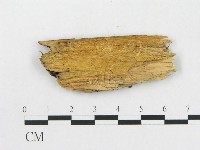 登錄號:F0016821藏品圖，第3張