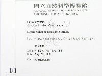 登錄號:F0016822藏品圖，第2張