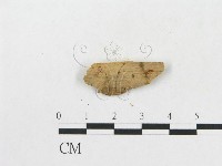 登錄號:F0016822藏品圖，第3張