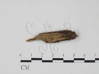 登錄號:F0016823藏品圖，第1張