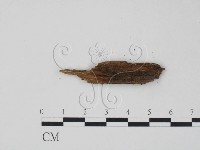 登錄號:F0016823藏品圖，第3張