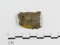 登錄號:F0016825藏品圖，第3張