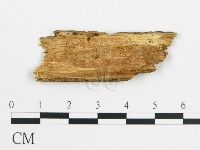 登錄號:F0016827藏品圖，第3張