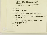 登錄號:F0016828藏品圖，第2張