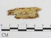 登錄號:F0016828藏品圖，第1張