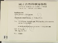 登錄號:F0016829藏品圖，第2張