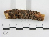 登錄號:F0016830藏品圖，第4張