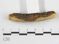 登錄號:F0016830藏品圖，第6張