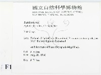 射脈菌屬藏品圖，第2張