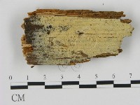 登錄號:F0016834藏品圖，第1張