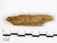 登錄號:F0016835藏品圖，第3張