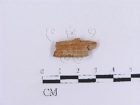 登錄號:F0016836藏品圖，第1張