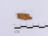 登錄號:F0016836藏品圖，第3張