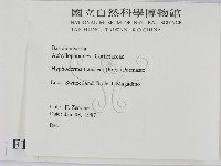 登錄號:F0016837藏品圖，第2張